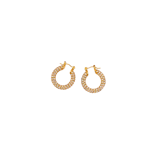 Boucles Elegante | Acier inoxydable et zircon