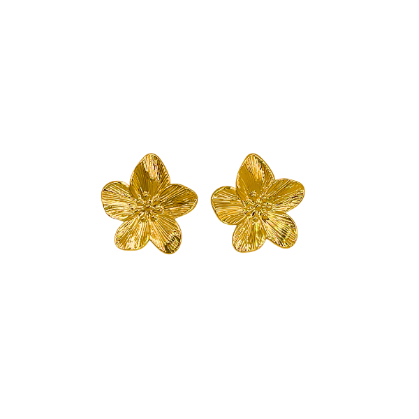 Boucles Cleopatre | Acier inoxydable